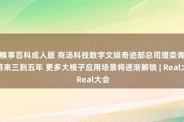 糗事百科成人版 商汤科技数字文娱奇迹部总司理栾青：将来三到五年 更多大模子应用场景将逐渐解锁 | Real大会