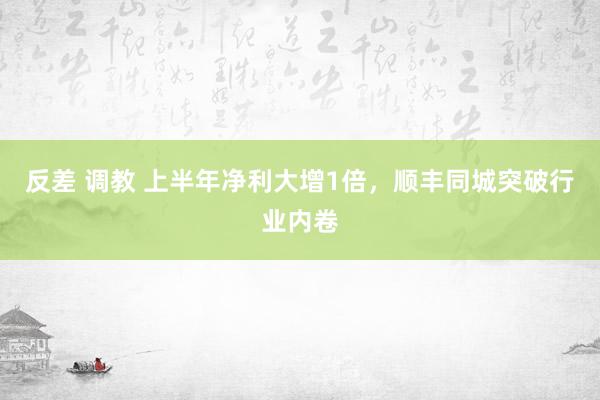 反差 调教 上半年净利大增1倍，顺丰同城突破行业内卷