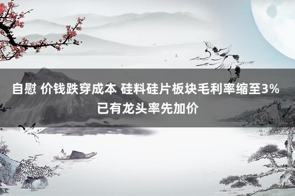 自慰 价钱跌穿成本 硅料硅片板块毛利率缩至3% 已有龙头率先加价