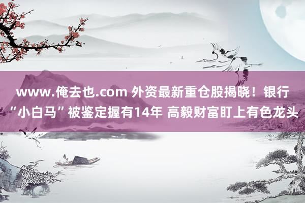 www.俺去也.com 外资最新重仓股揭晓！银行“小白马”被鉴定握有14年 高毅财富盯上有色龙头